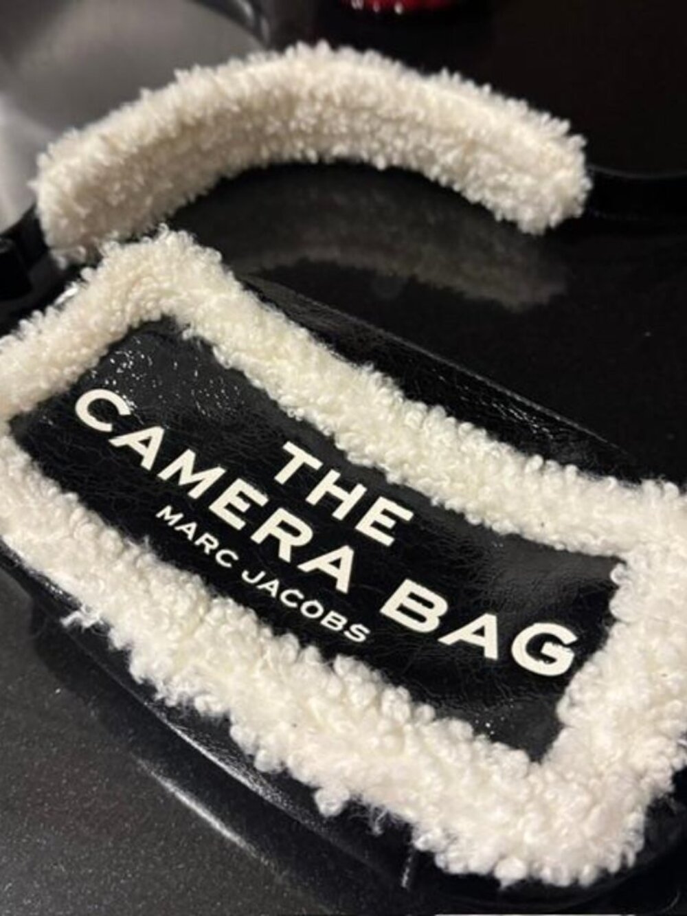 The Camera Bag  Marc Jacobs